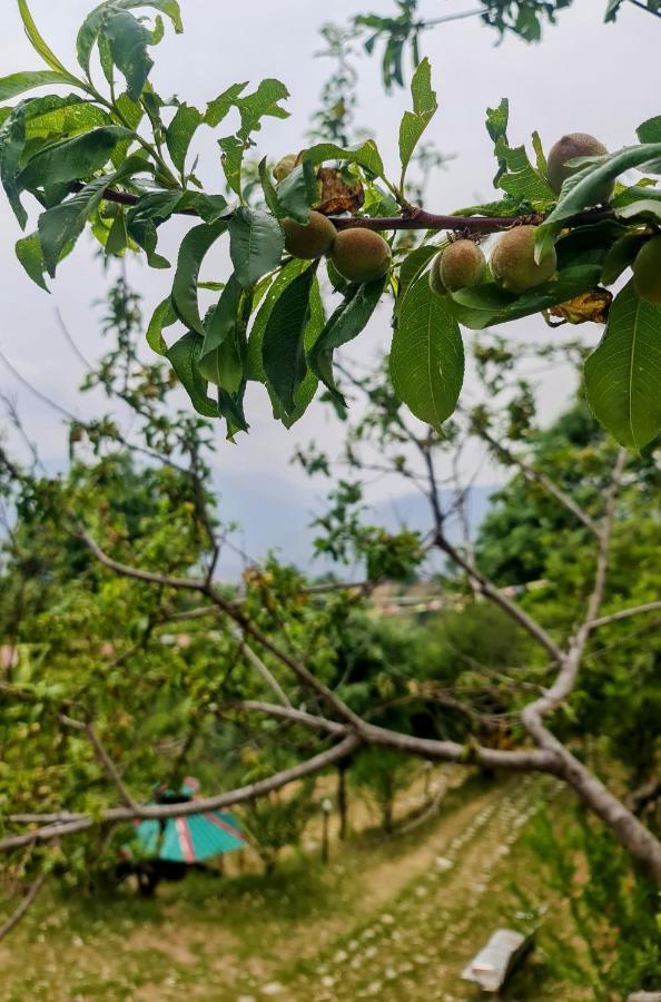 The Kanatal Arbour 카나탈 외부 사진