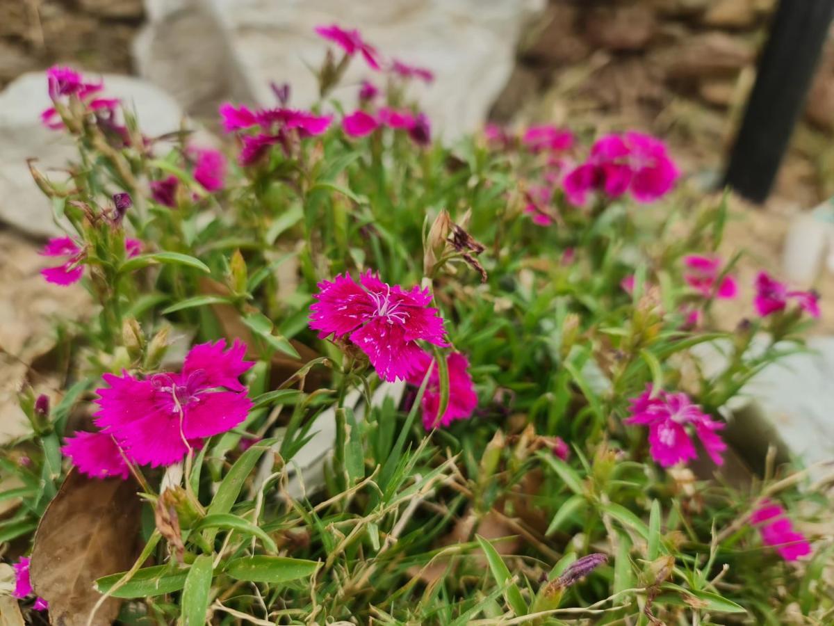 The Kanatal Arbour 카나탈 외부 사진